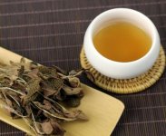 金線蓮泡茶一次放幾根？