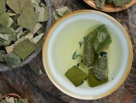荷葉茶為什么叫短命茶？